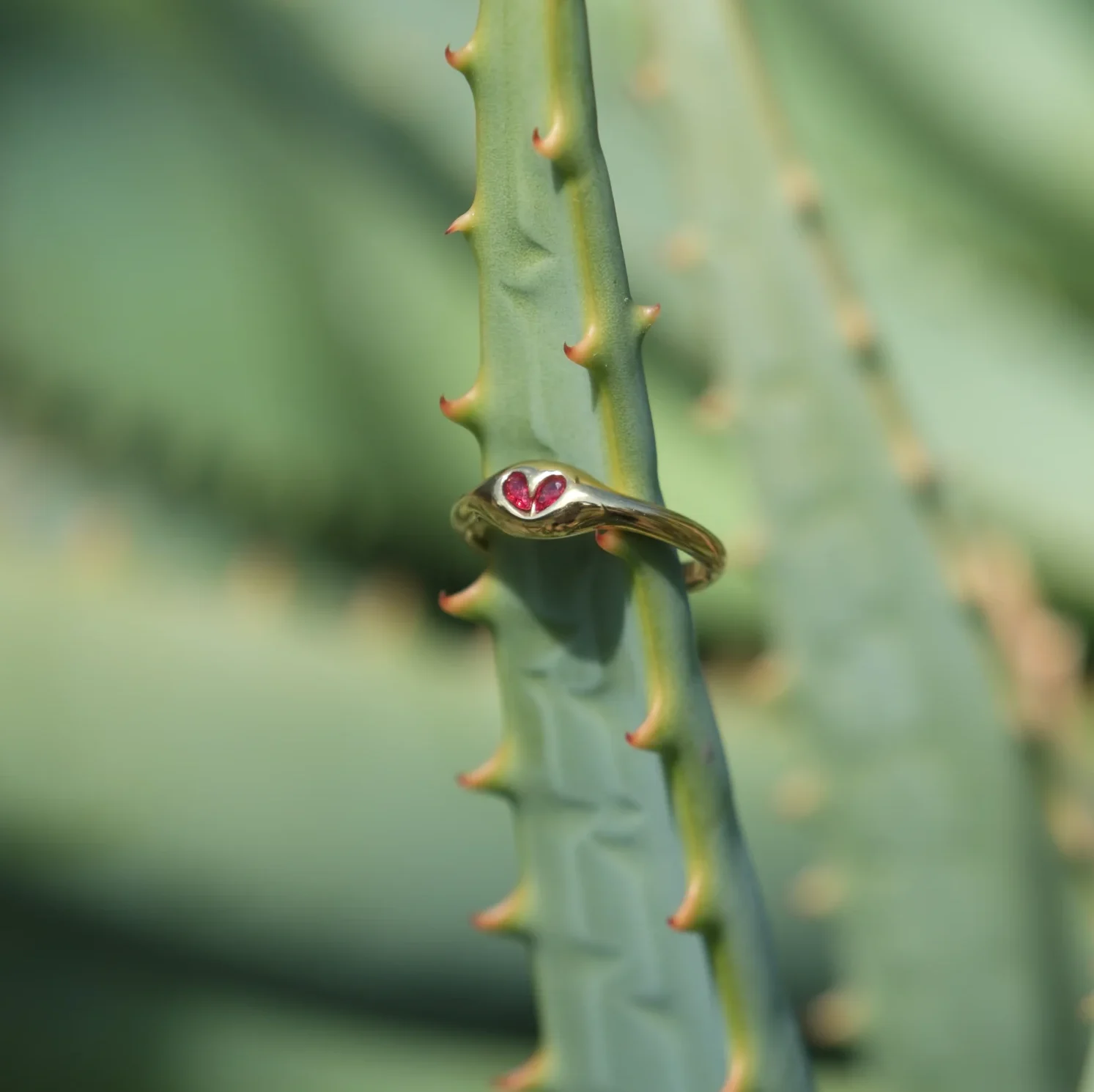 Crimson Heart Gold Ring